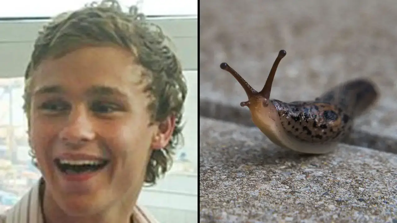 Sam Ballard was dared to eat a slug by his friends, leading to a devastating consequence.