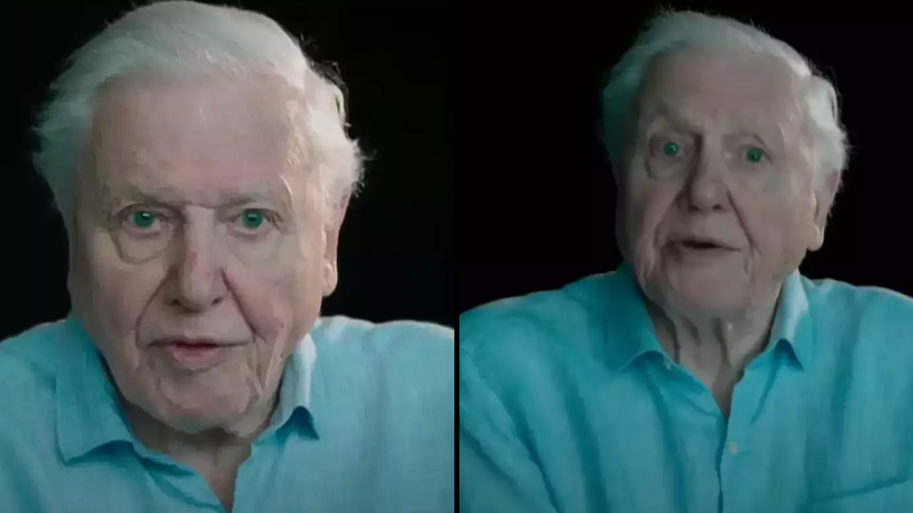 Sir David Attenborough has issued an 'urgent final plea' to the world, and it's left people feeling emotional.