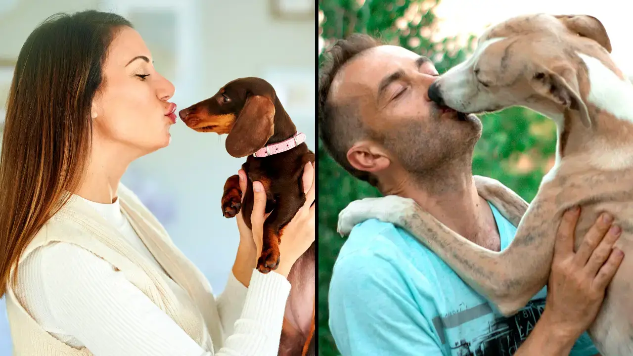 Should You Kiss Your Dog On The Mouth? A medical expert has warned people about why they should never kiss their dog on the mouth.