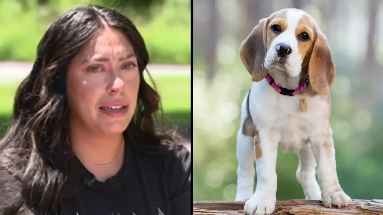 A woman who believed she had had her dog euthanized was shocked to discover him up for adoption on the shelter's site.