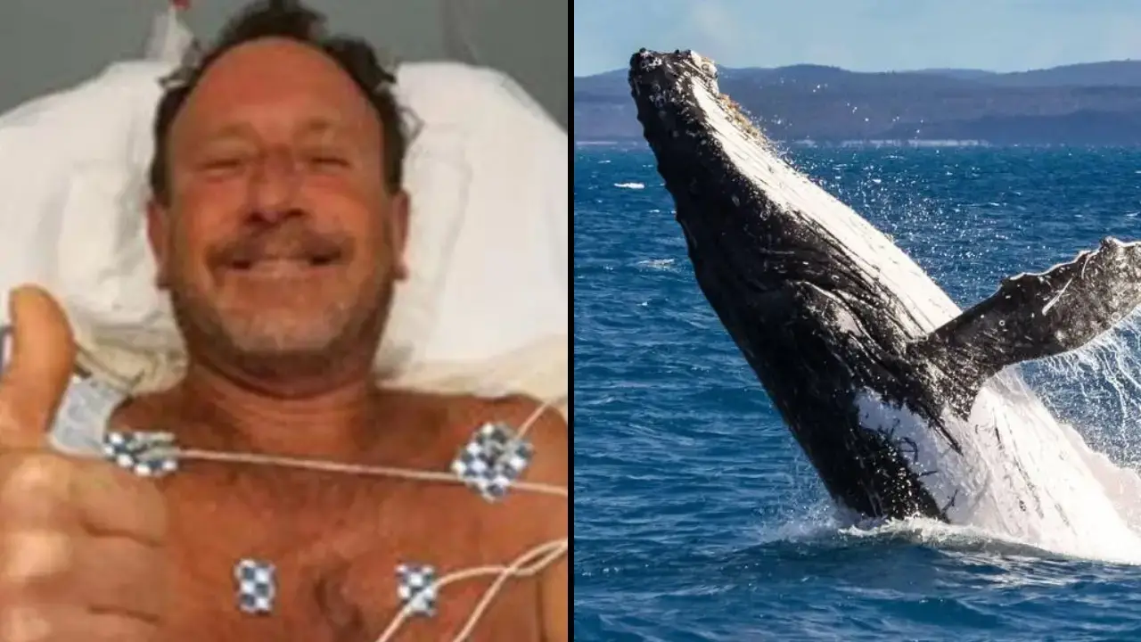 Michale Packard was swallowed whole by a whale but says it wasn't even the scariest thing to happen to him.