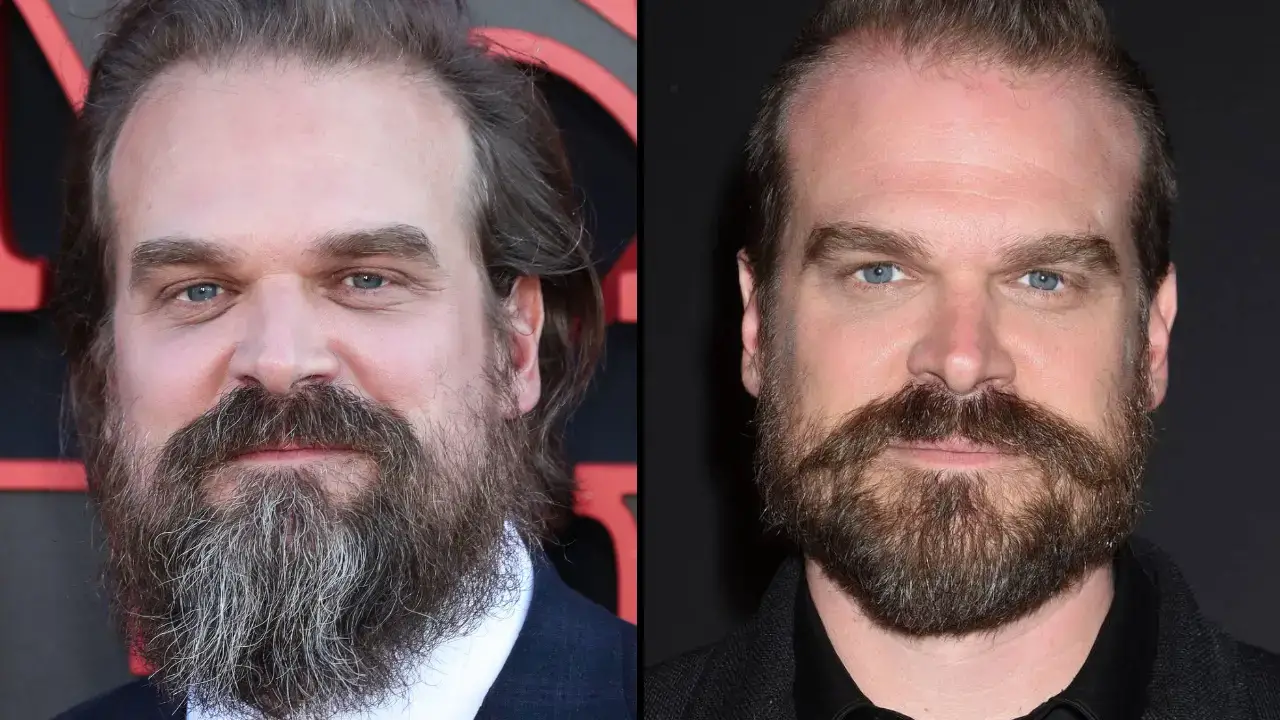 Fans of Stranger Things star David Harbour have been shocked to learn of his marriage to Lily Allen.