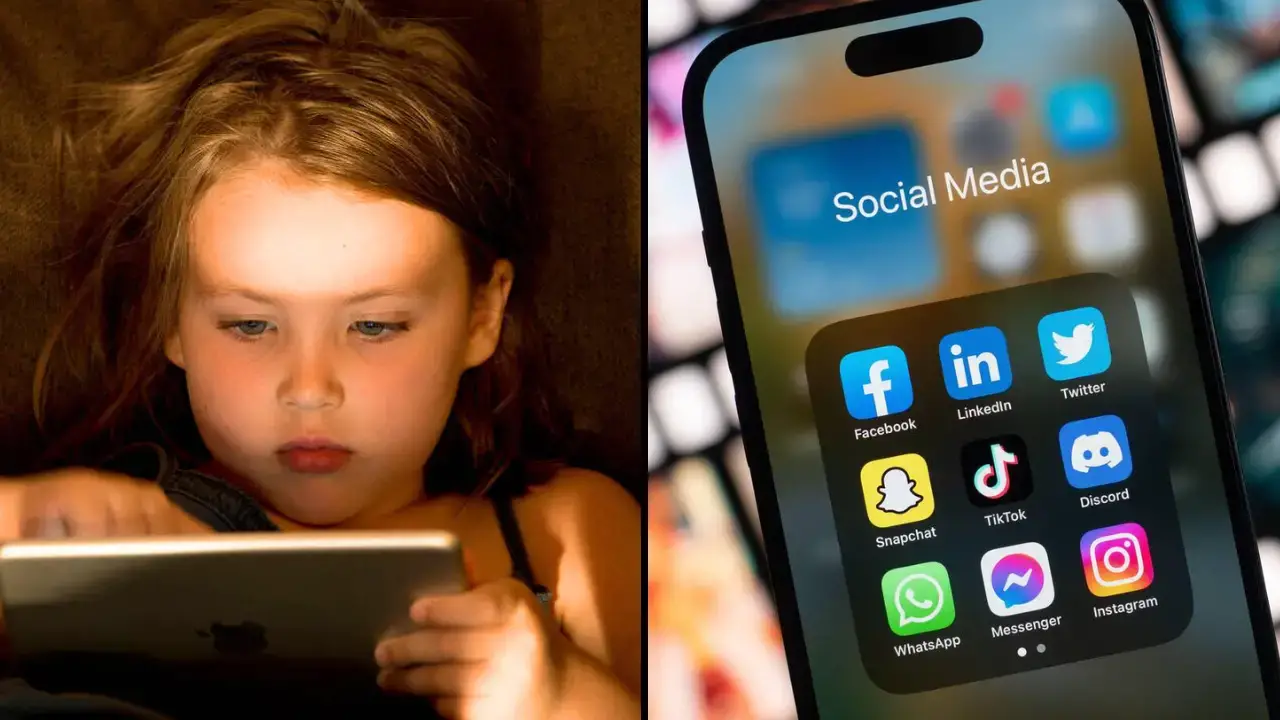 Ron DeSantis' social media bill proposes a ban on children under 14 owning a social media account.