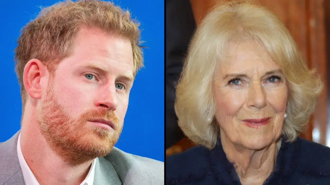 Prince Harry has shared his brutal two-word nickname for Queen Camilla in his bombshell memoir 'Spare.'