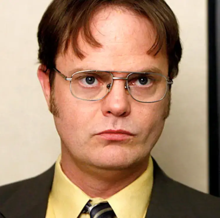 Dwight in The Office US. 