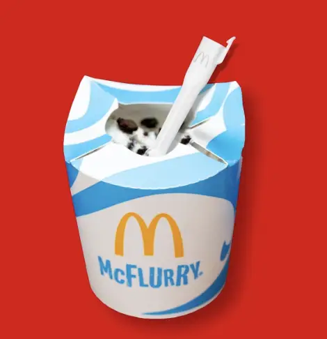 McFlurry