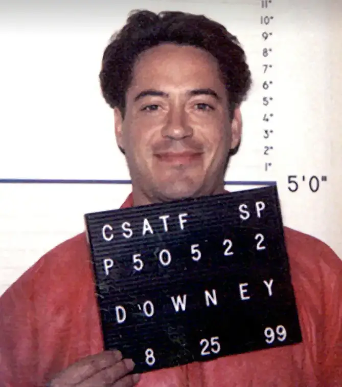 Robert Downey Jr mugshot.