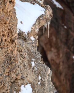 Snow leopard on mountain.