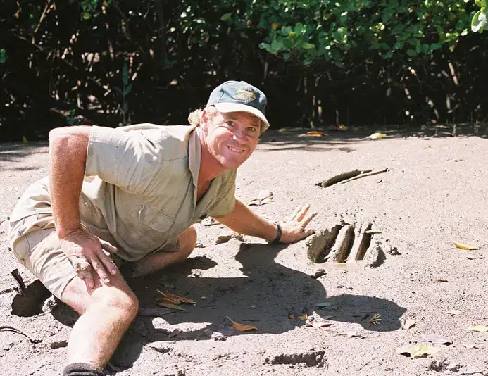 Steve Irwin