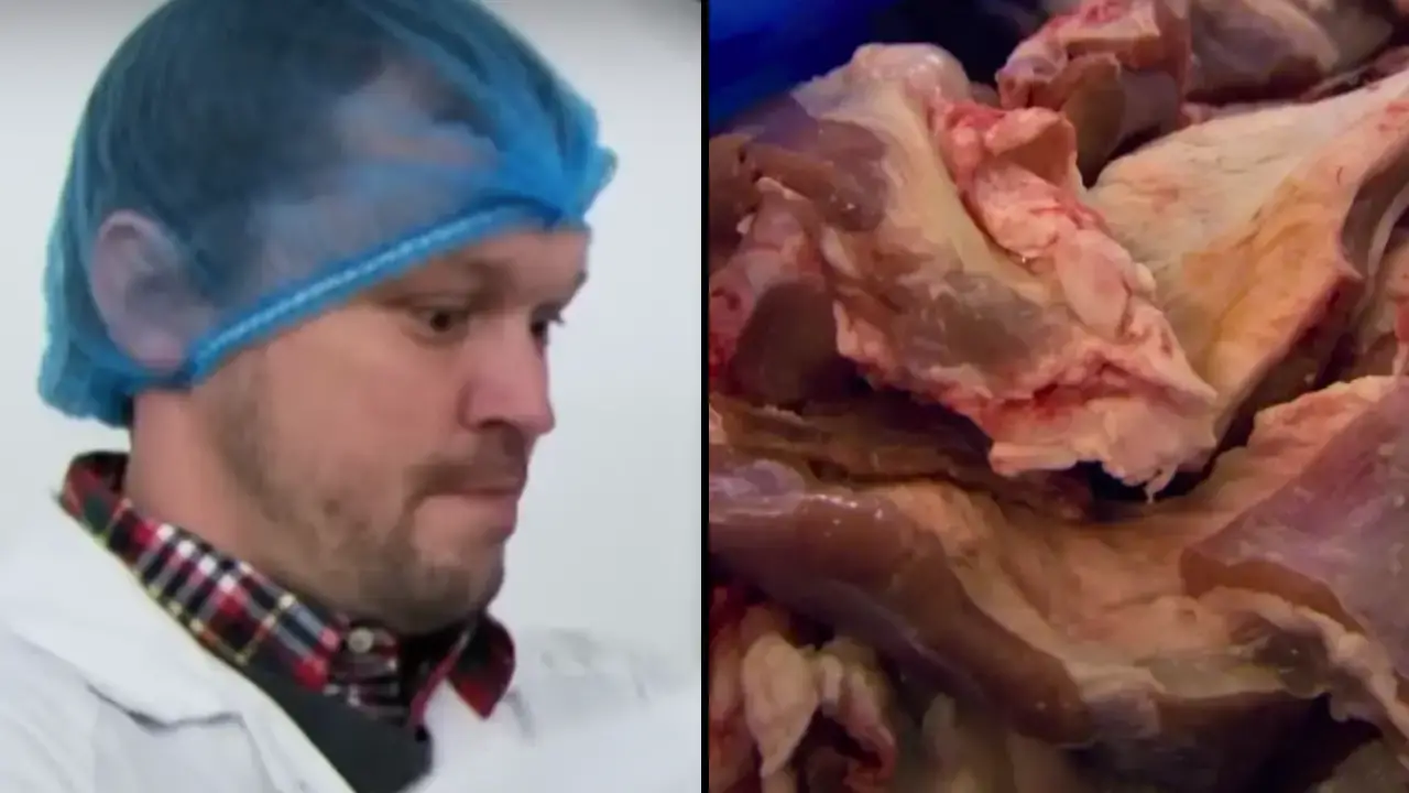 A video showing how a doner kebab is made has left viewers calling the meal 'truly revolting'.