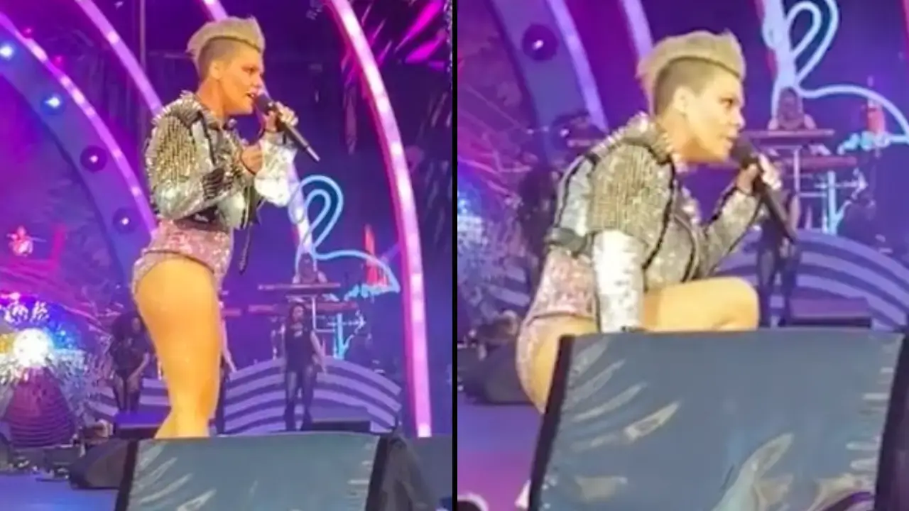 Pink was left speechless after a fan threw their mum's ashes on stage at her recent concert in London.