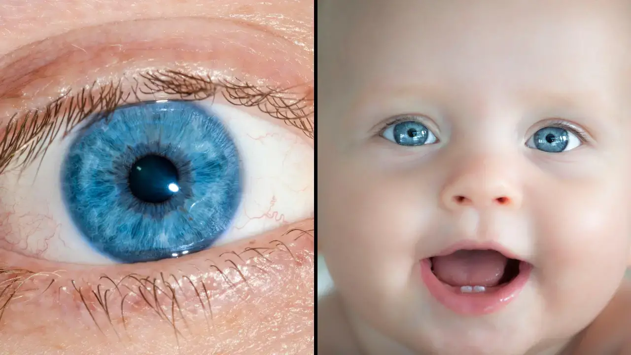 All blue-eyed people have one thing in common - aside from having blue eyes.