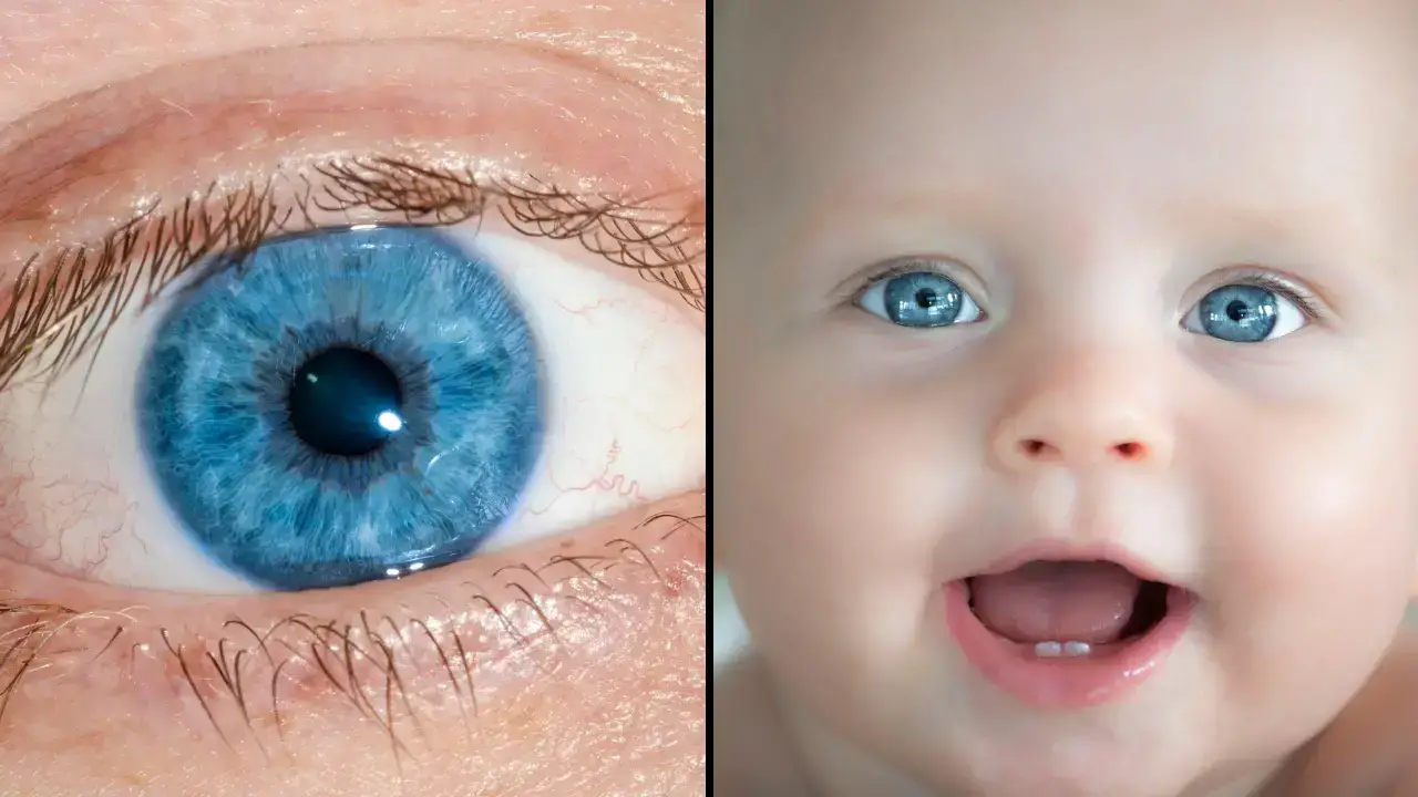 All blue-eyed people have one thing in common - aside from having blue eyes.