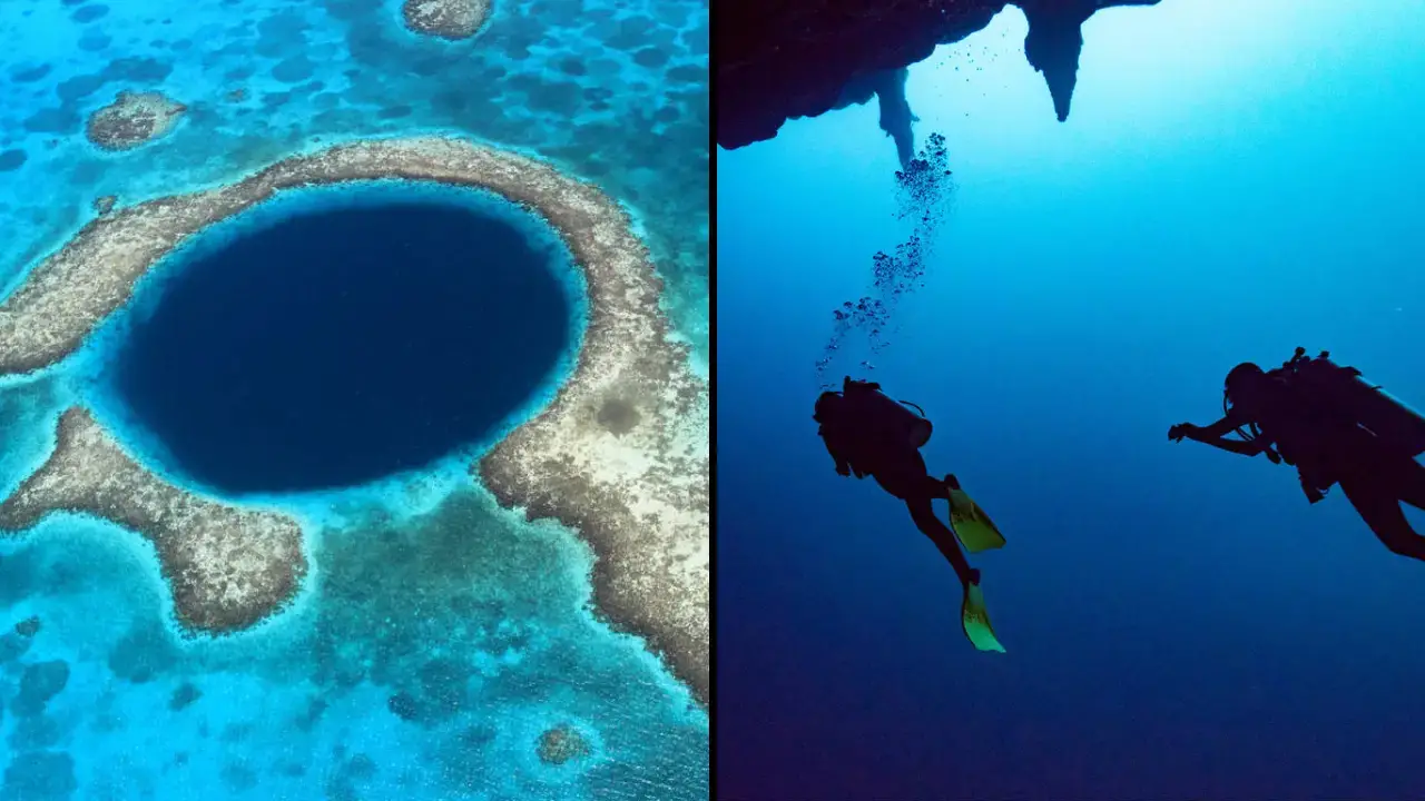 A group of divers made a chilling discovery after finally reaching the bottom of the Great Blue Hole.