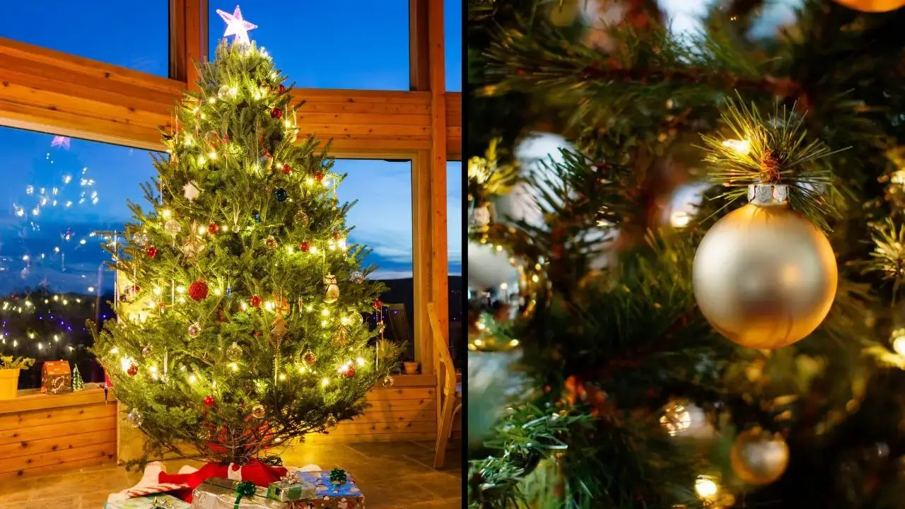 An expert has sent a warning regarding 'Christmas tree syndrome' ahead of Christmas Day.