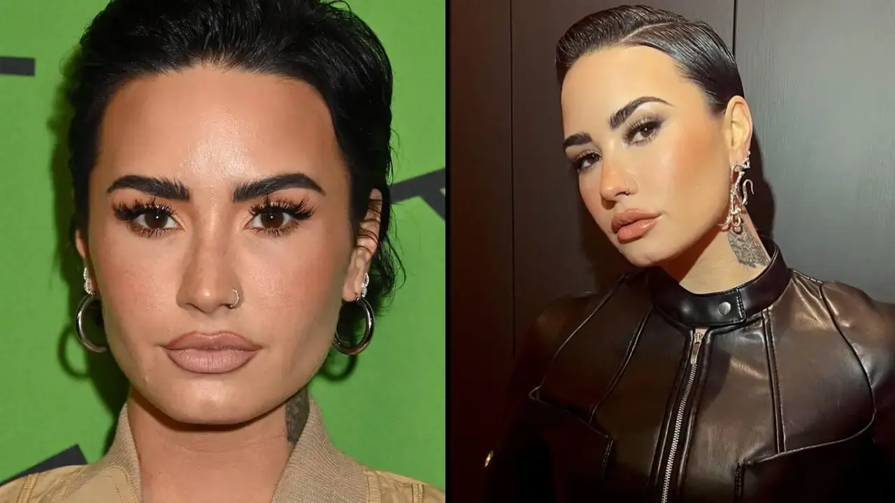 Demi Lovato has changed pronouns again.