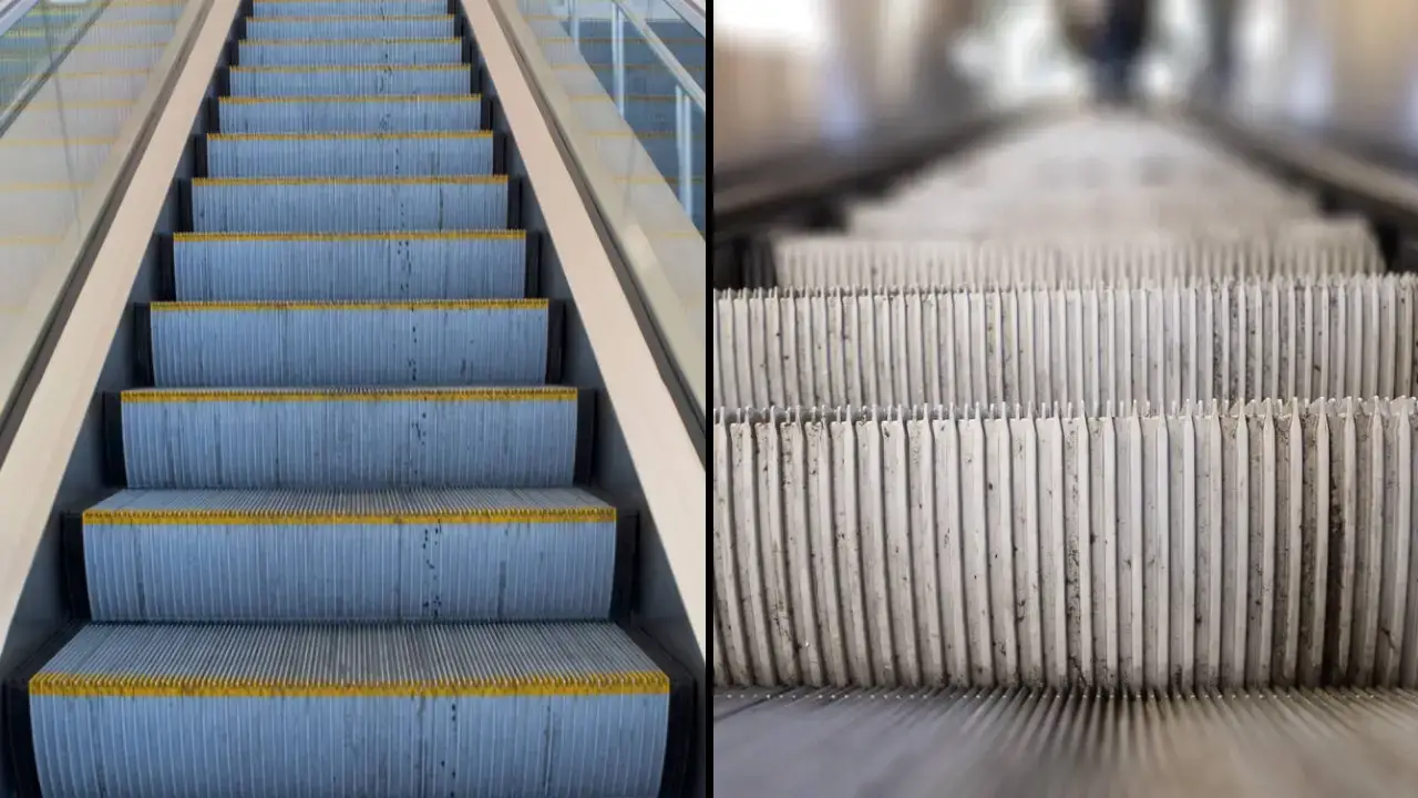 People are only just realising what the purpose is for the little grooves on escalator stairs.