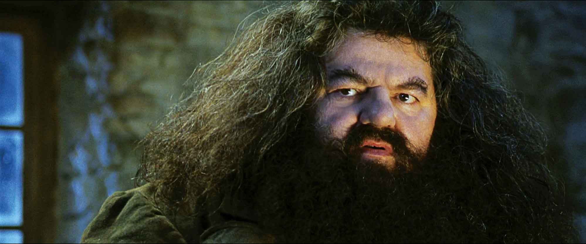 Hagrid in Harry Potter.