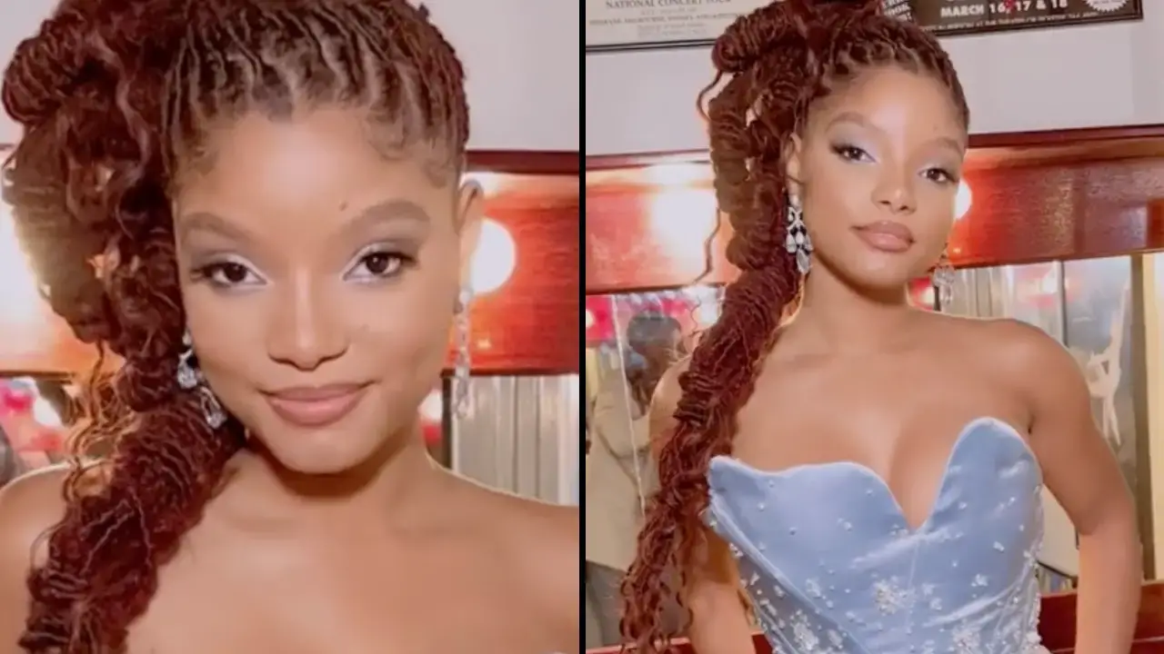 Halle Bailey has stunned fans with an explicit TikTok post.