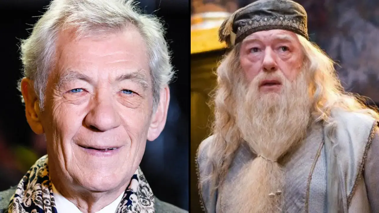 Ian McKellen has shared why he turned down the role of Dumbledore in the Harry Potter films.