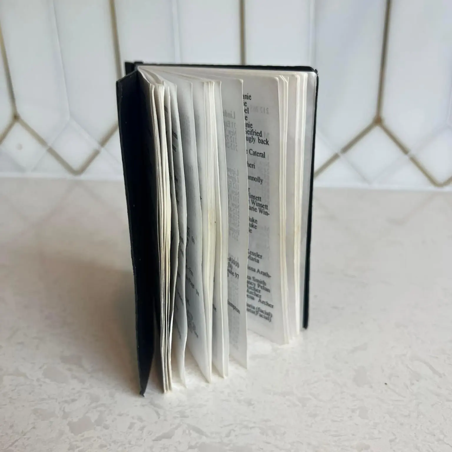 Jeffrey Epstein's 'Black Book'. 