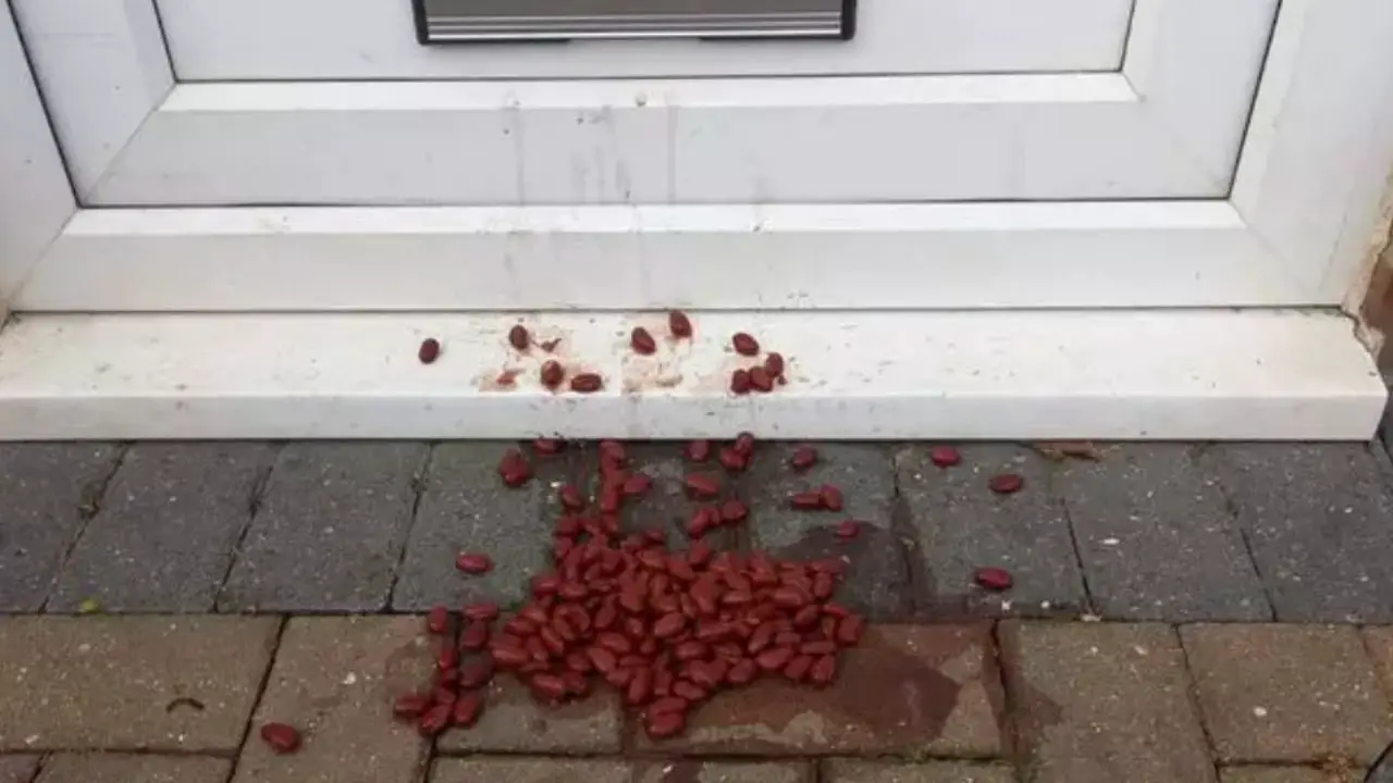 A mum has issued a warning over a clever 'kidney beans trick' that burglars use to target homes.