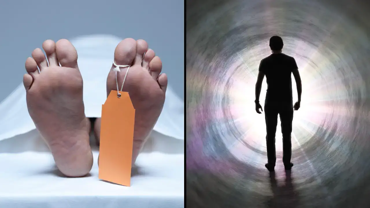 A scientist says that life after death is scientifically 'impossible'. 