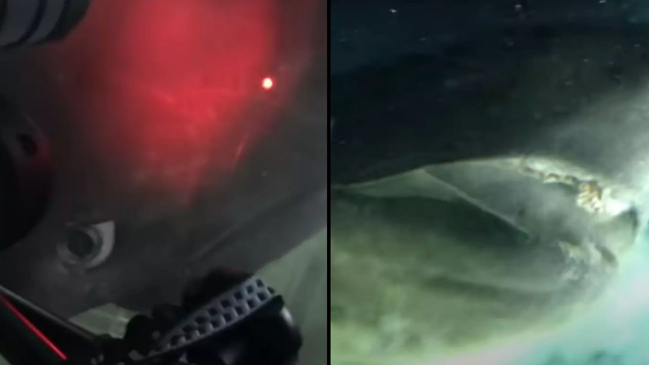 Footage from a sub on the ocean floor shows it coming into contact with a 'deep-sea monster' that predates dinosaurs. 