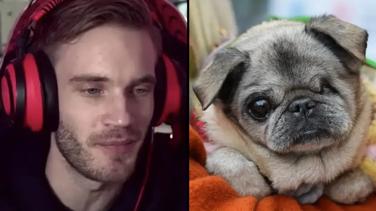 PewDiePie has announced that his one-eyed 17-year-old pug named Maya has died. Find out more information about the death here...