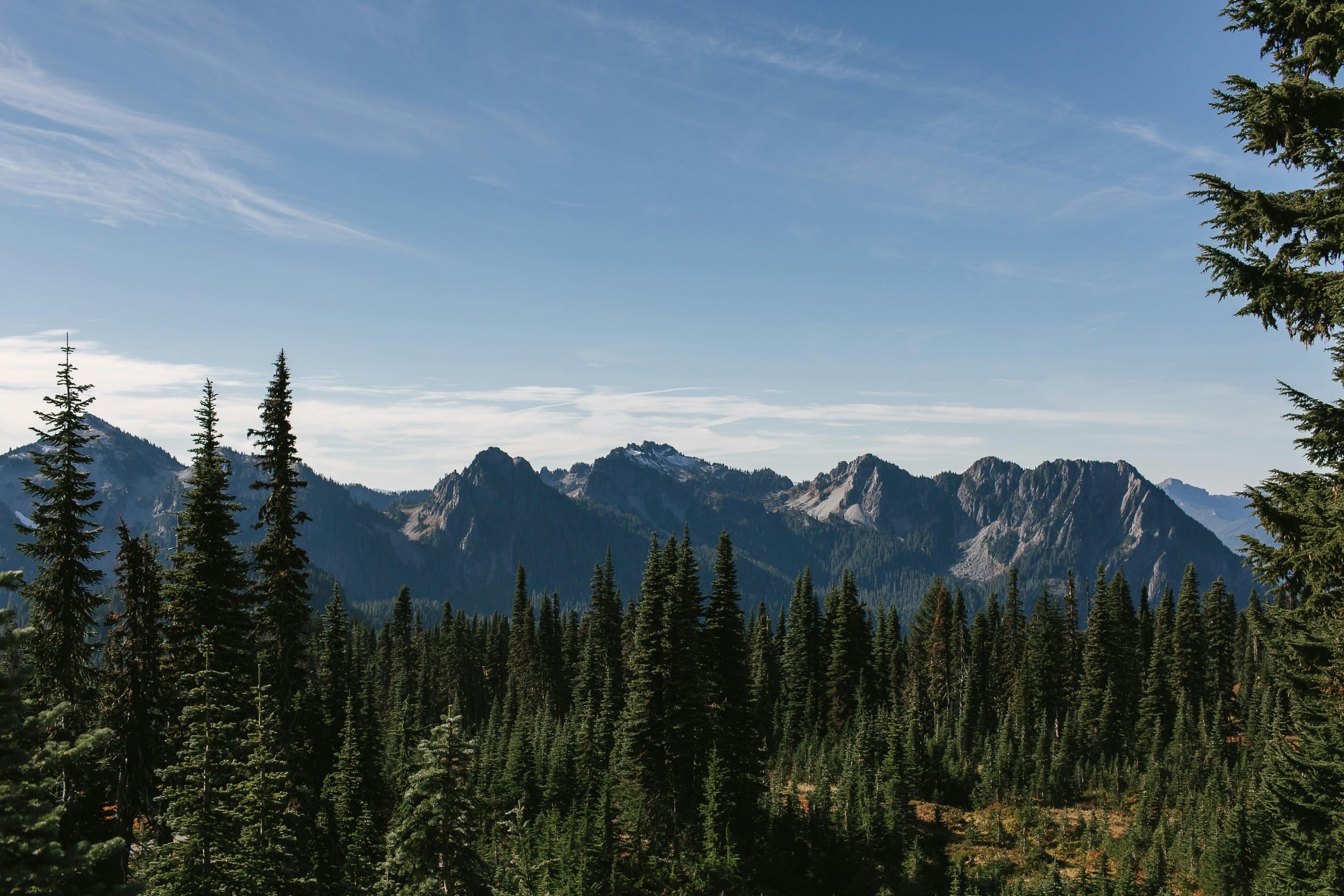 Pacific Northwest Forest