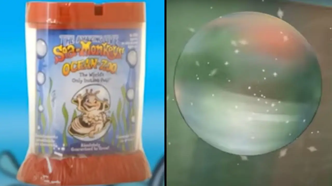 People say their childhoods have been 'ruined' after discovering the dark truth behind sea monkeys. 