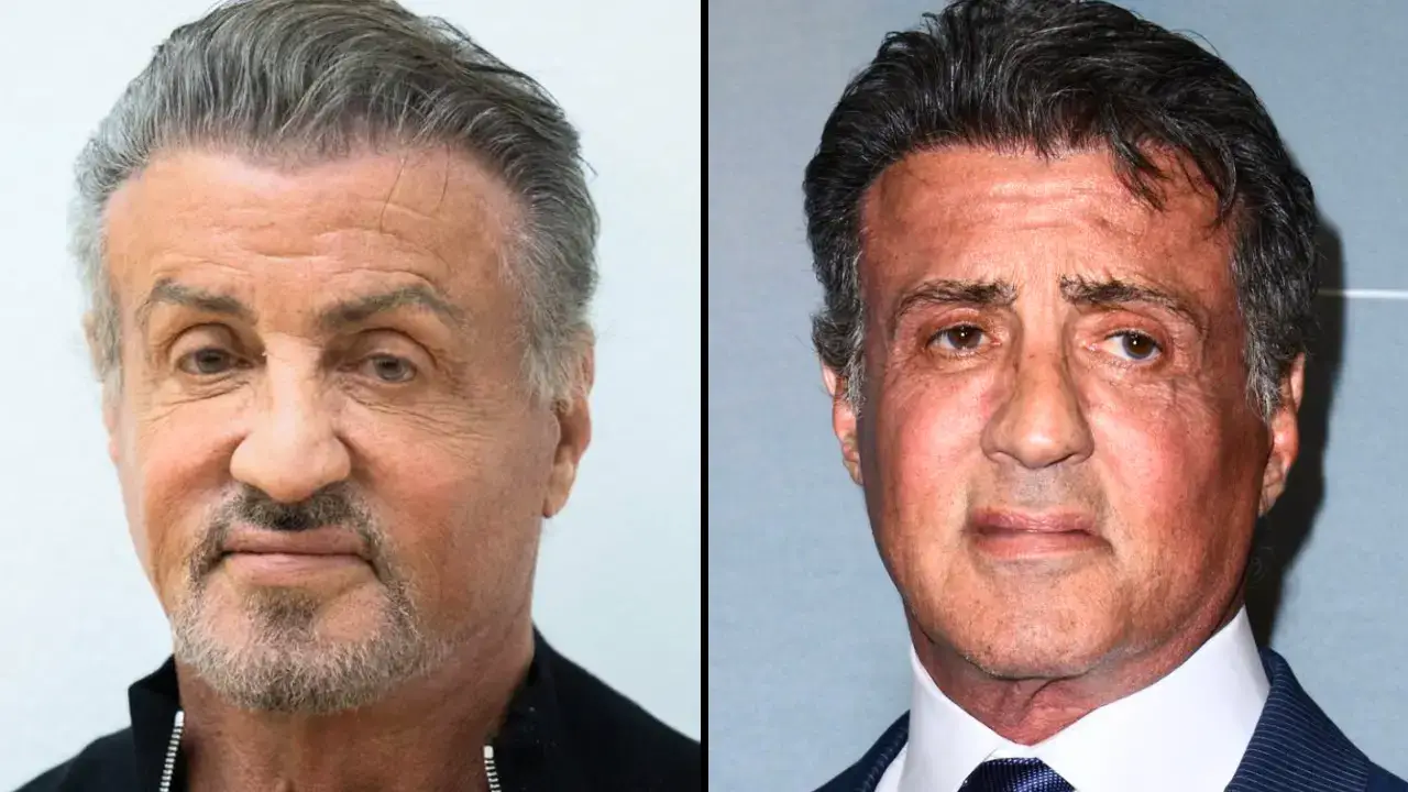 Sylvester Stallone says that the movie Stop Or My Mom Will Shoot is the one film he regrets making.