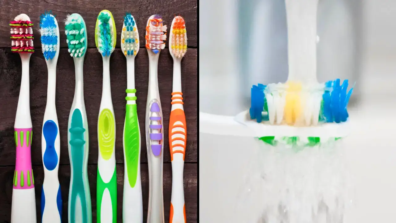 What do toothbrush bristle colours mean?