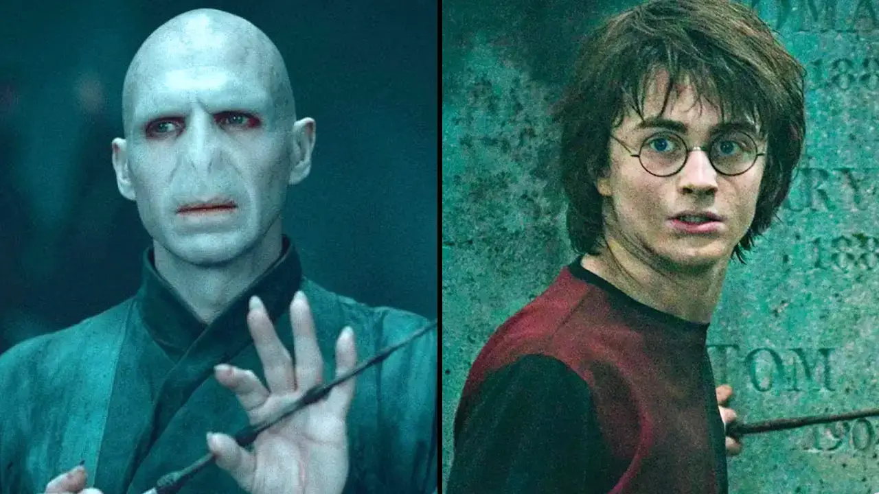 Harry Potter fans are seriously disturbed after finding out how Voldemort was conceived.