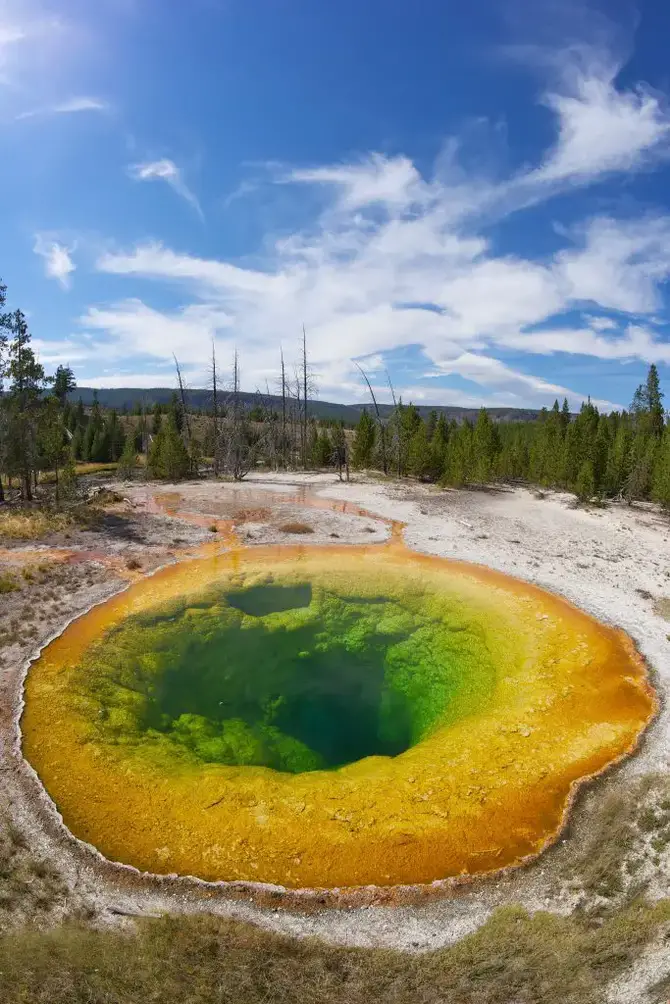 Yellowstone Park