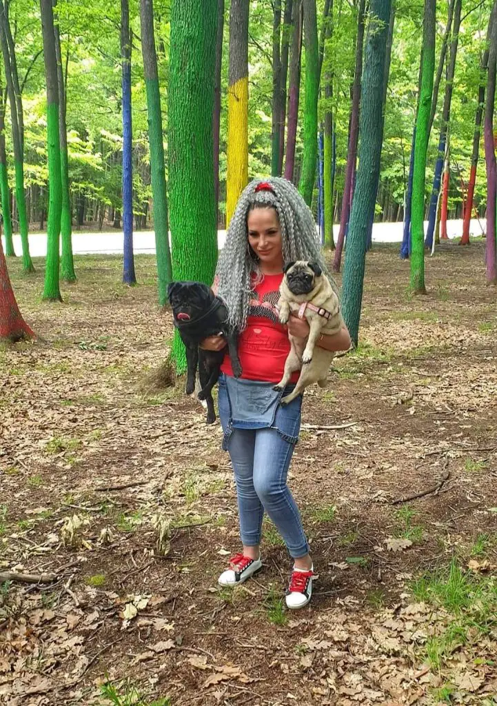 Pugs and Anda Sasha.