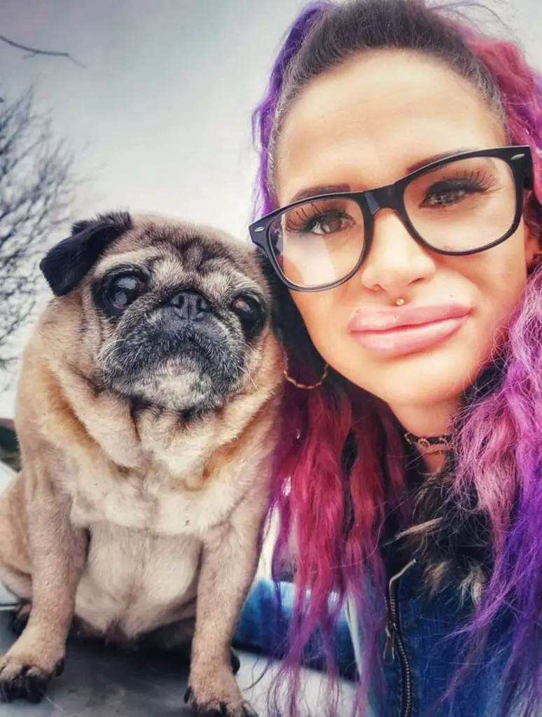Pug and Anda Sasha.