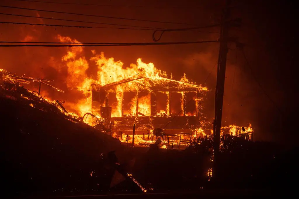 Pacific Palisades Fire