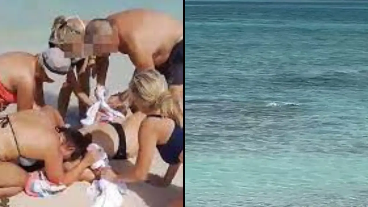 Authorities have issued a warning after a tourist had both hands bitten off by a shark while trying to take a picture.