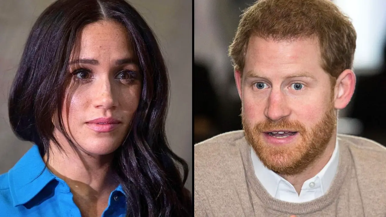 Meghan Markle hinted at a 'professional separation' from Prince Harry in a new interview.