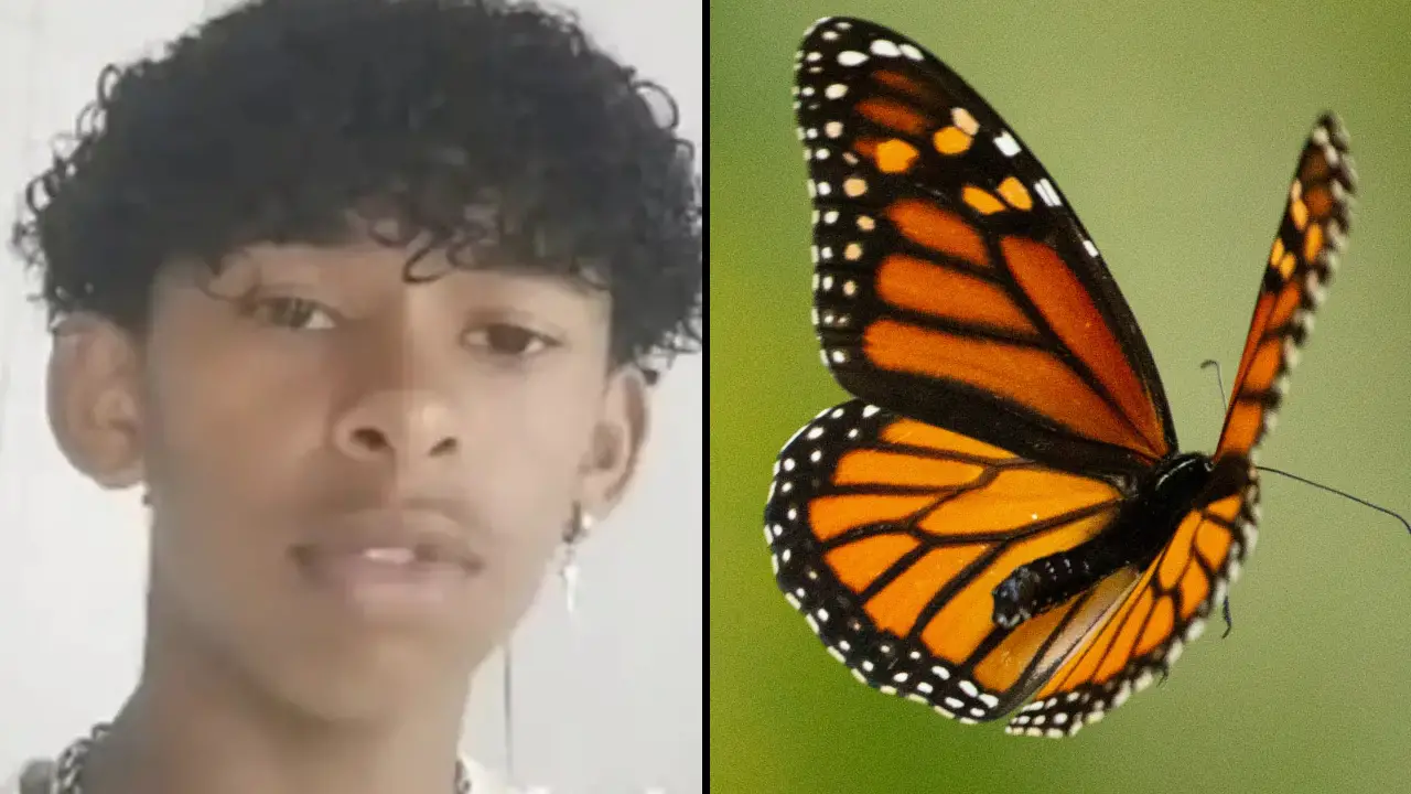 A 14-year-old boy tragically died after reportedly injecting himself with a butterfly as part of an 'online challenge.'