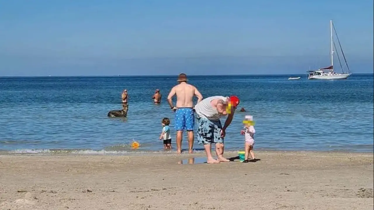 A family enjoying a day at the beach in Melbourne, Australia, was left shocked when they noticed a shark in the background of a photo.