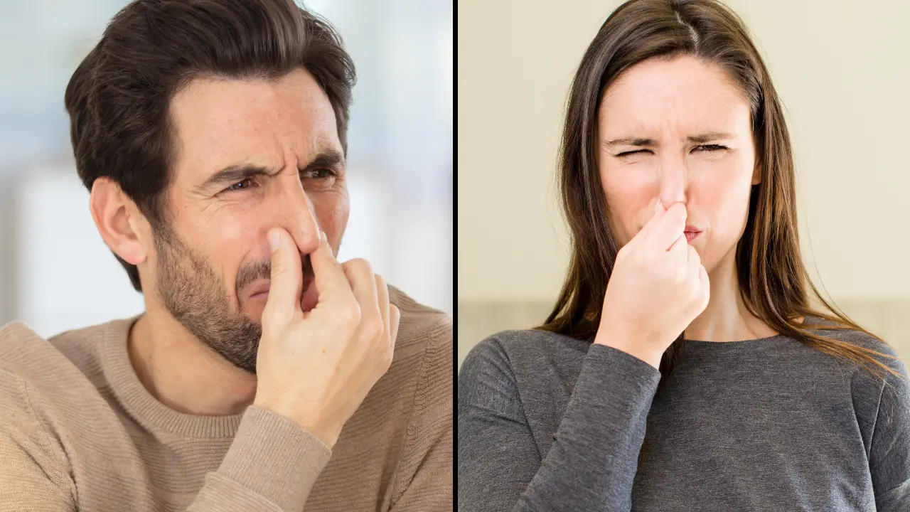 Brits are spending over $11 billion each year making their home smell nice - over half would break up with a partner over a smelly house.