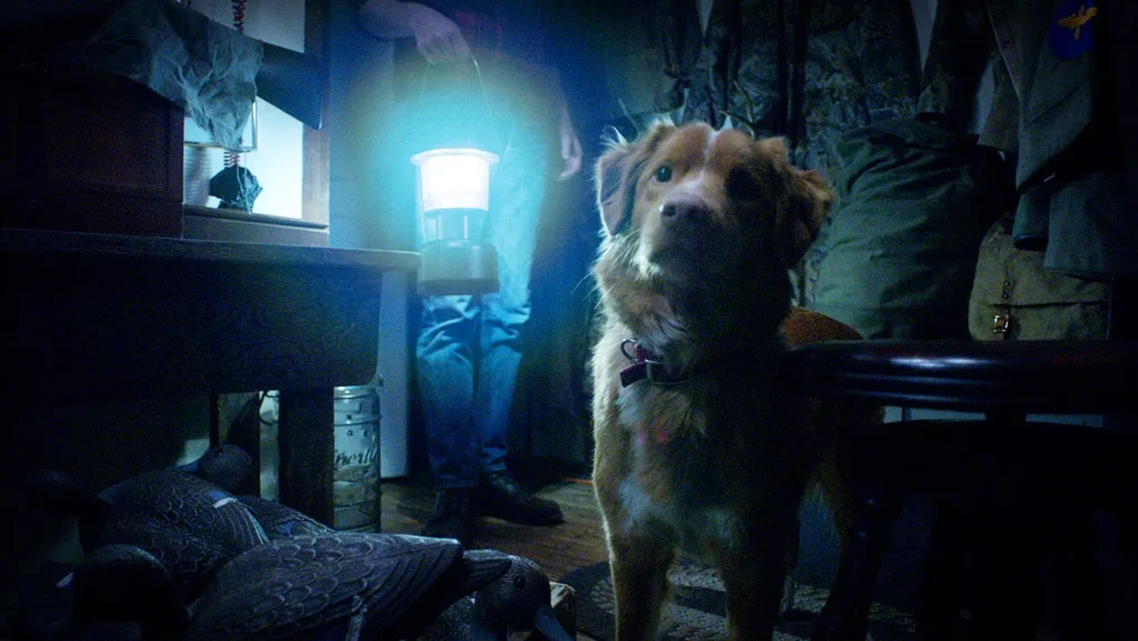 Good Boy (2025).