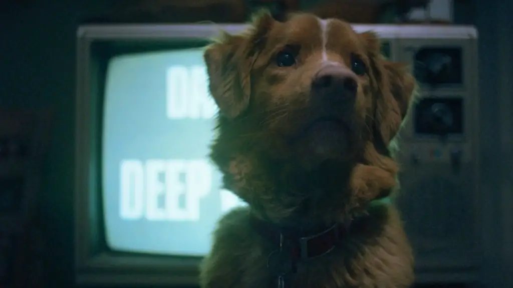 Good Boy (2025).