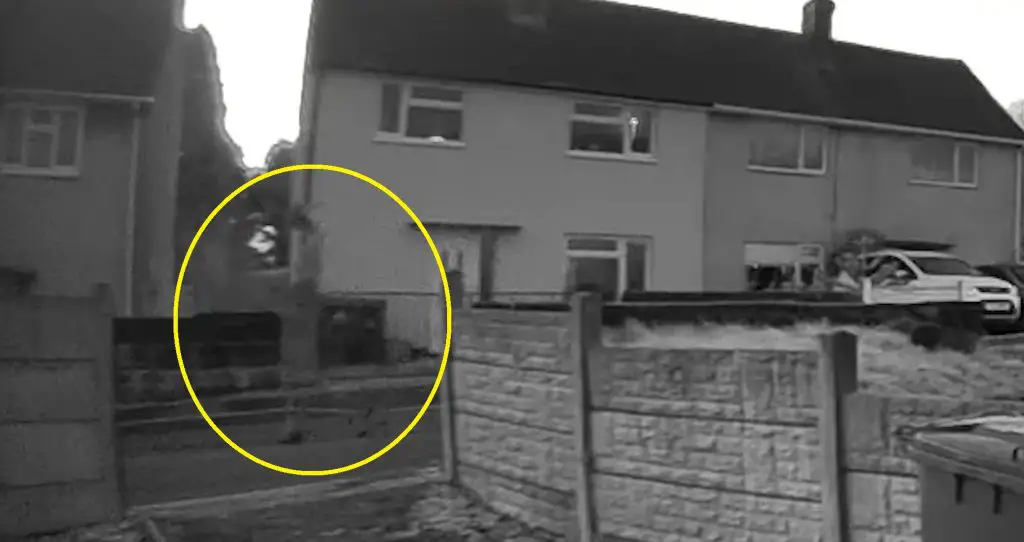 'Ghost of miner's wife' footage.