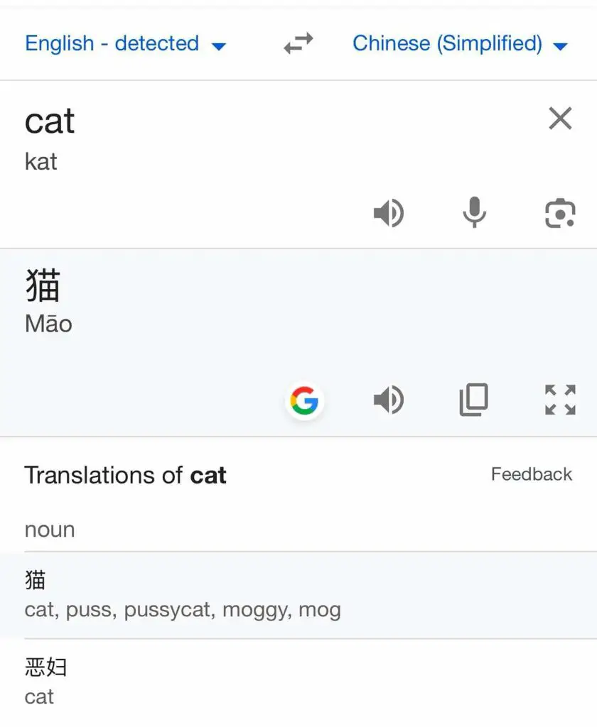 Google translation of Japanese symbol.
