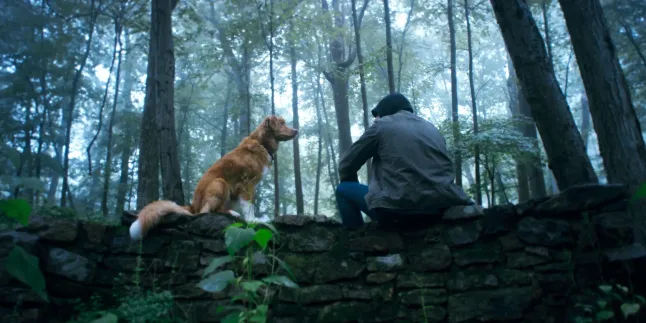 Good Boy (2025).