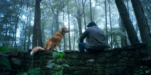 Good Boy (2025).