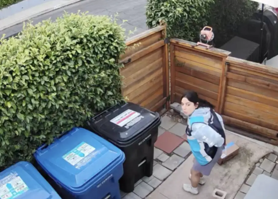 Amazon driver pooping.